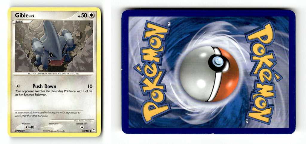 Front + Back scan