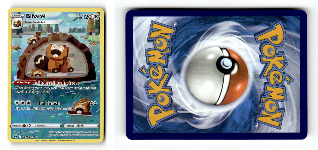 Front + Back scan