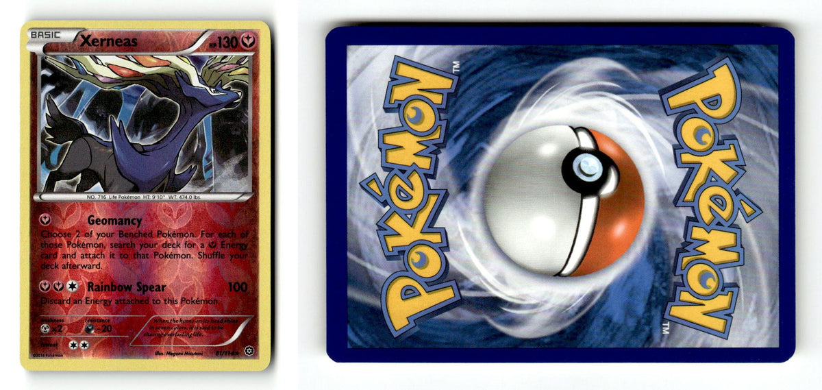 Front + Back scan