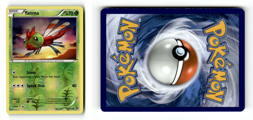 Front + Back scan