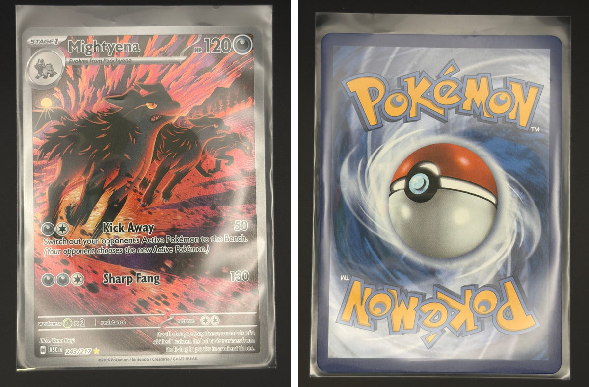 Front + Back scan