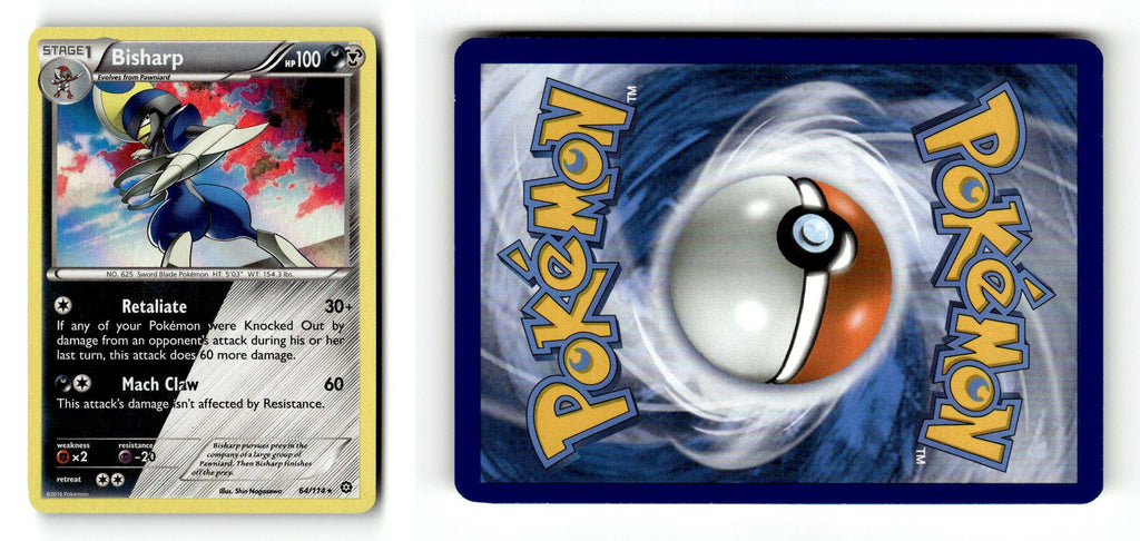 Front + Back scan
