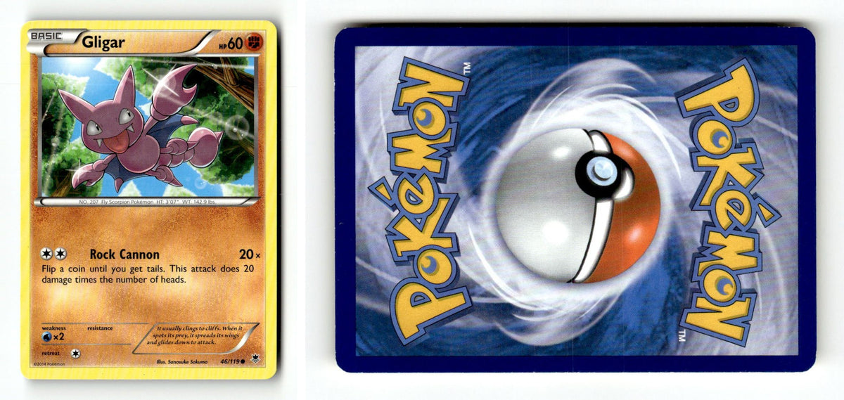 Front + Back scan