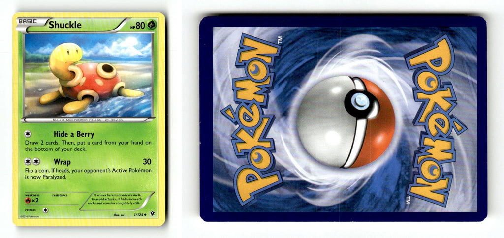 Front + Back scan