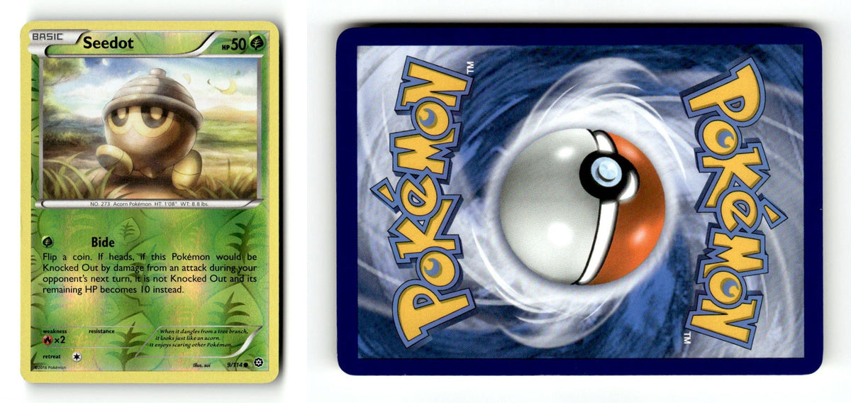 Front + Back scan
