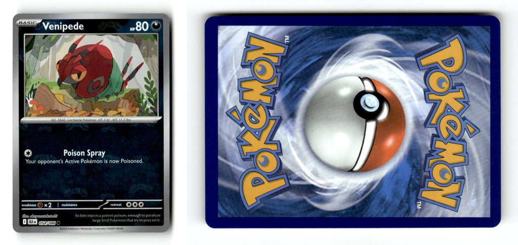 Front + Back scan
