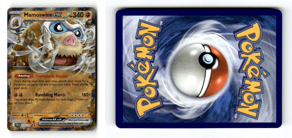 Front + Back scan