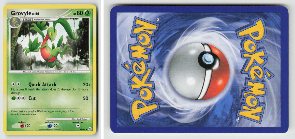 Front + Back scan