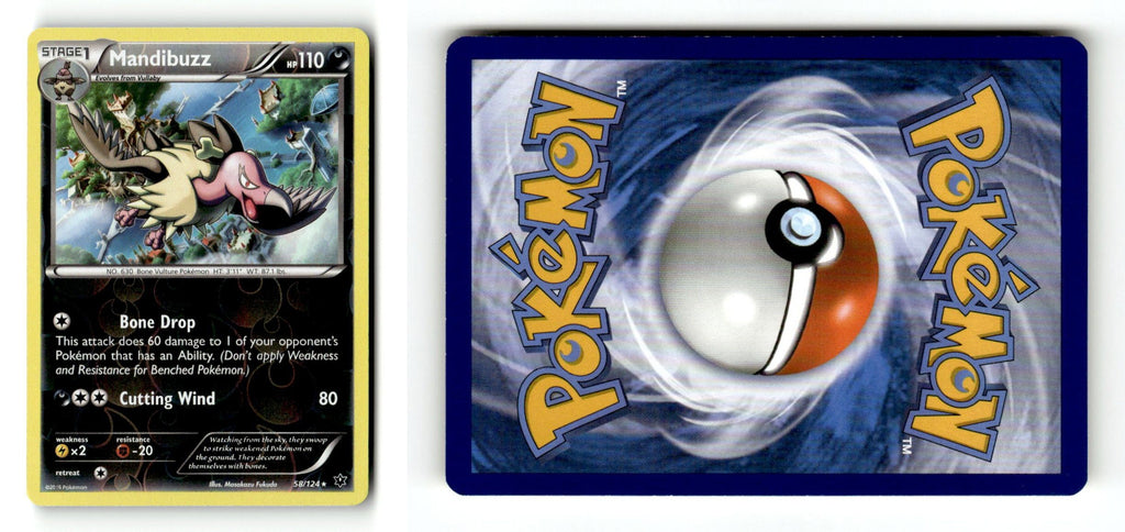 Front + Back scan