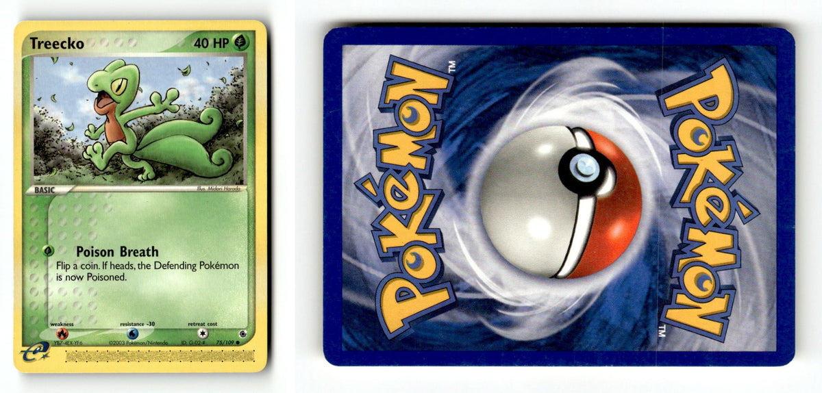 Front + Back scan