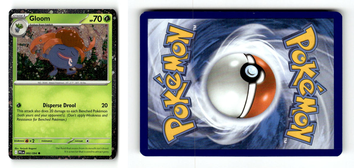 Front + Back scan