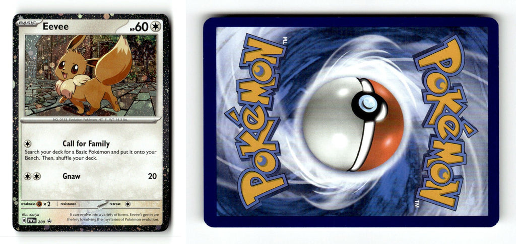 Front + Back scan