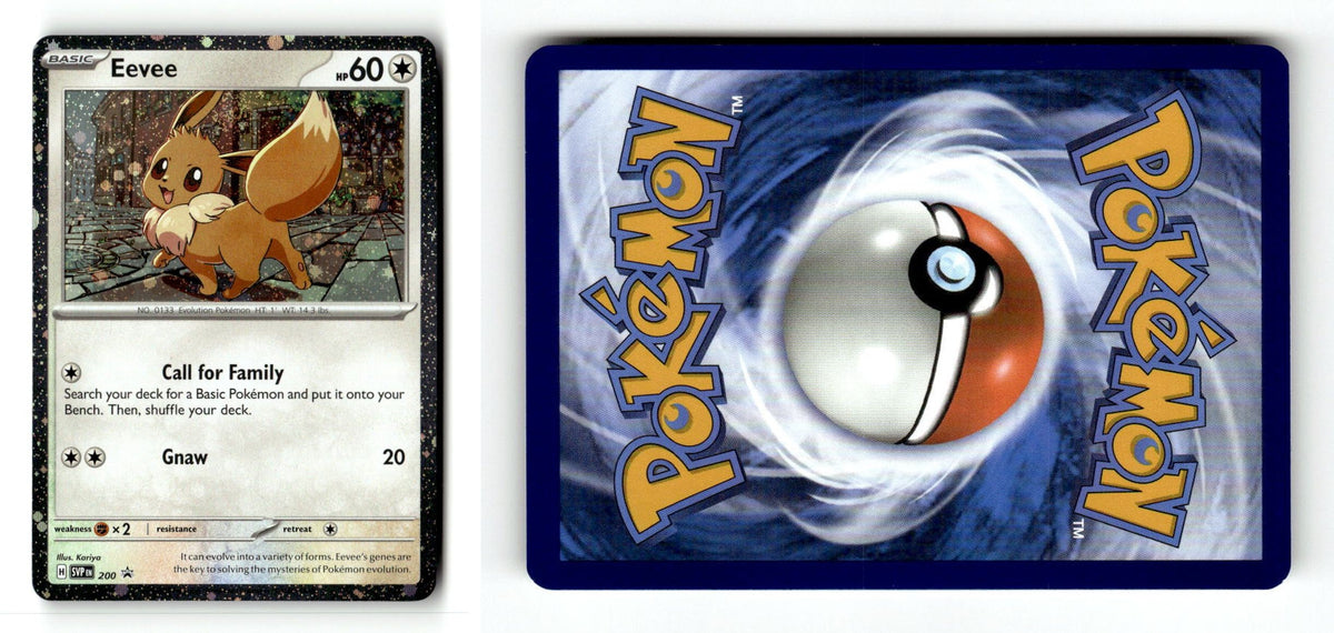 Front + Back scan