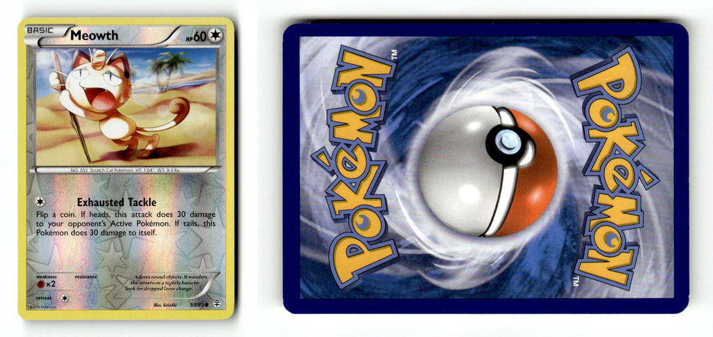 Front + Back scan