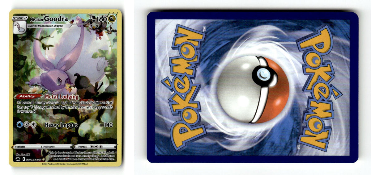 Front + Back scan