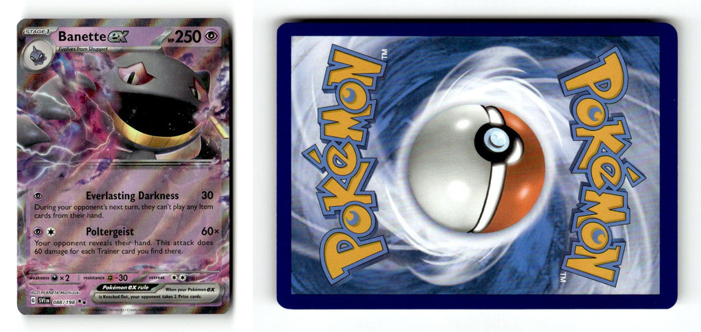 Front + Back scan