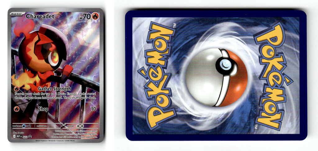 Front + Back scan