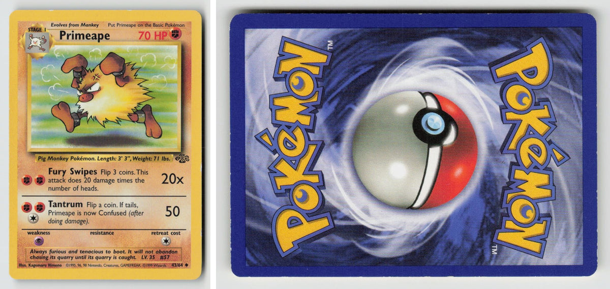 Front + Back scan
