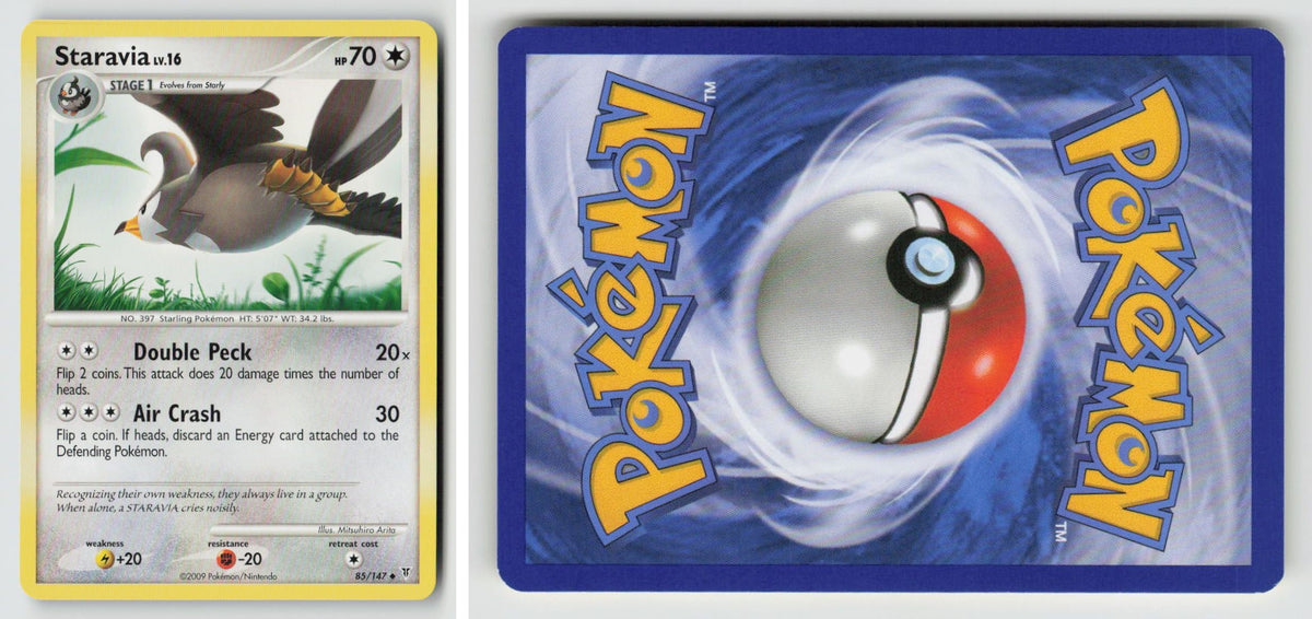Front + Back scan