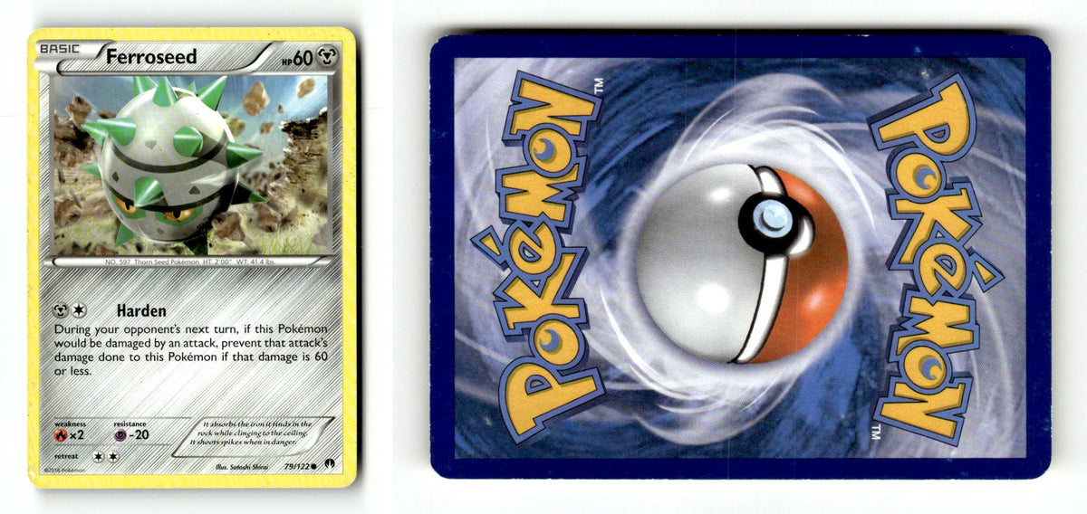 Front + Back scan