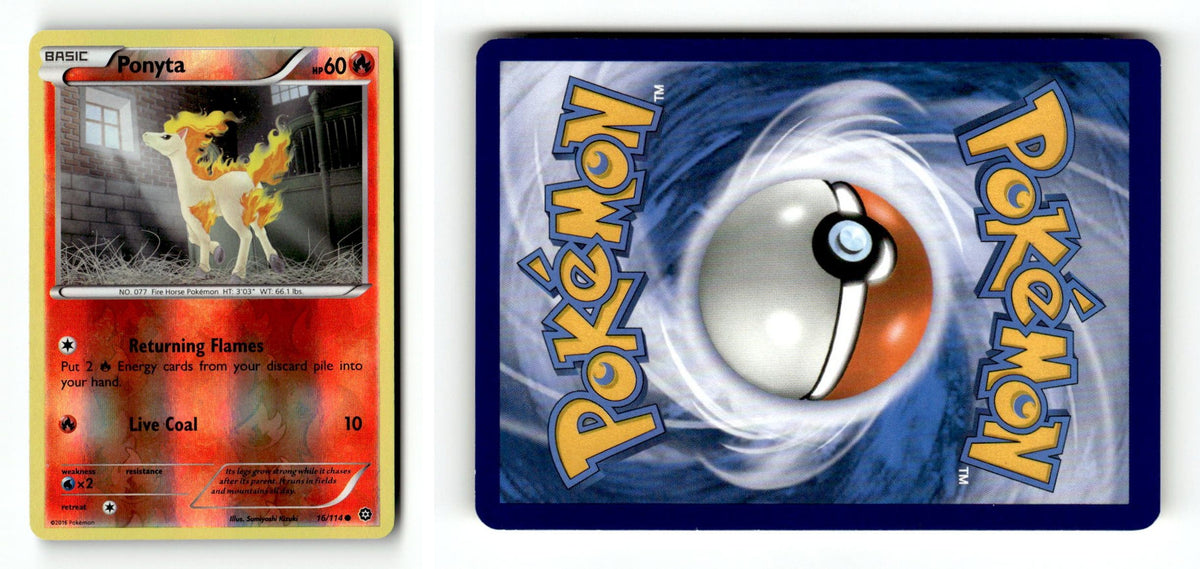 Front + Back scan