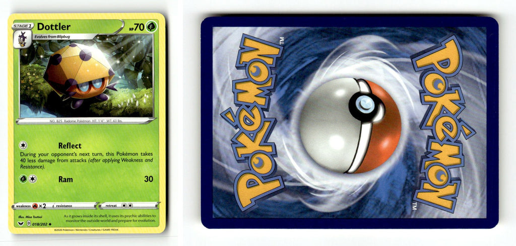 Front + Back scan