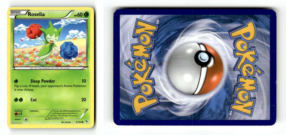 Front + Back scan