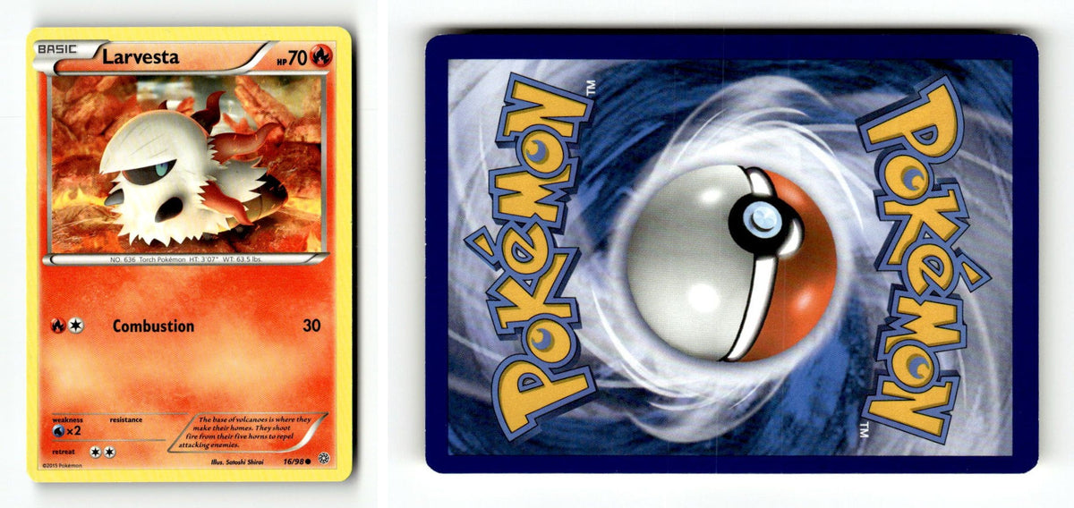 Front + Back scan
