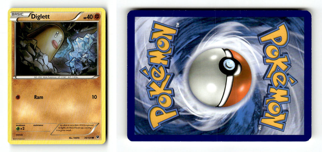 Front + Back scan