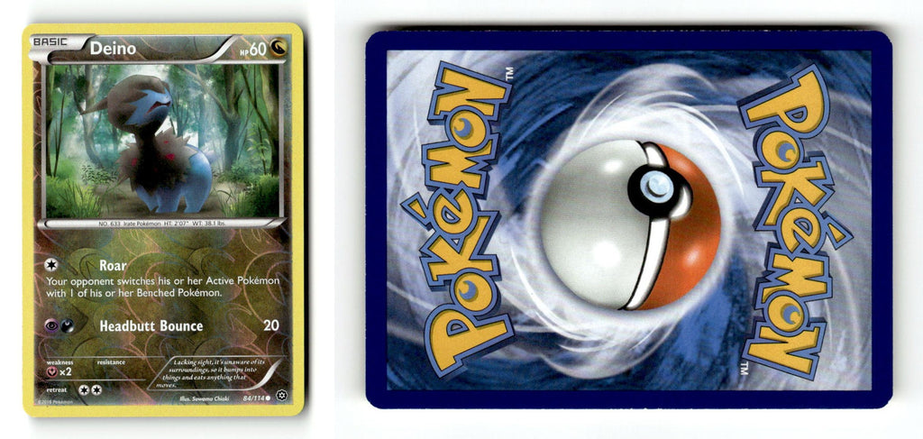 Front + Back scan