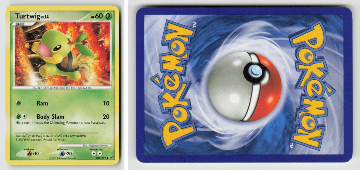 Front + Back scan