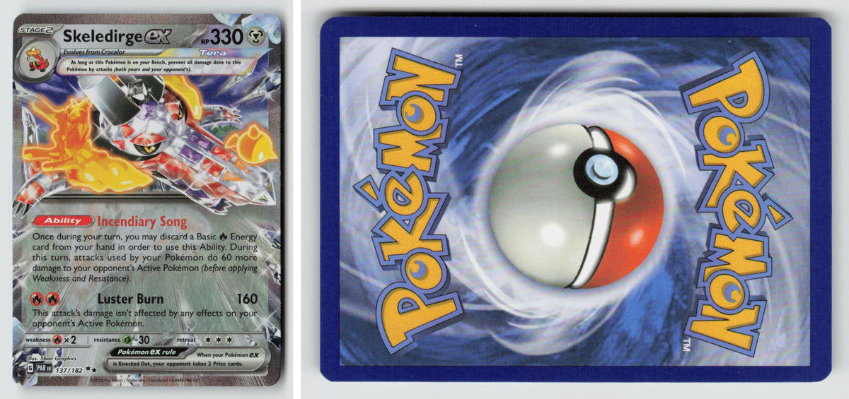 Front + Back scan