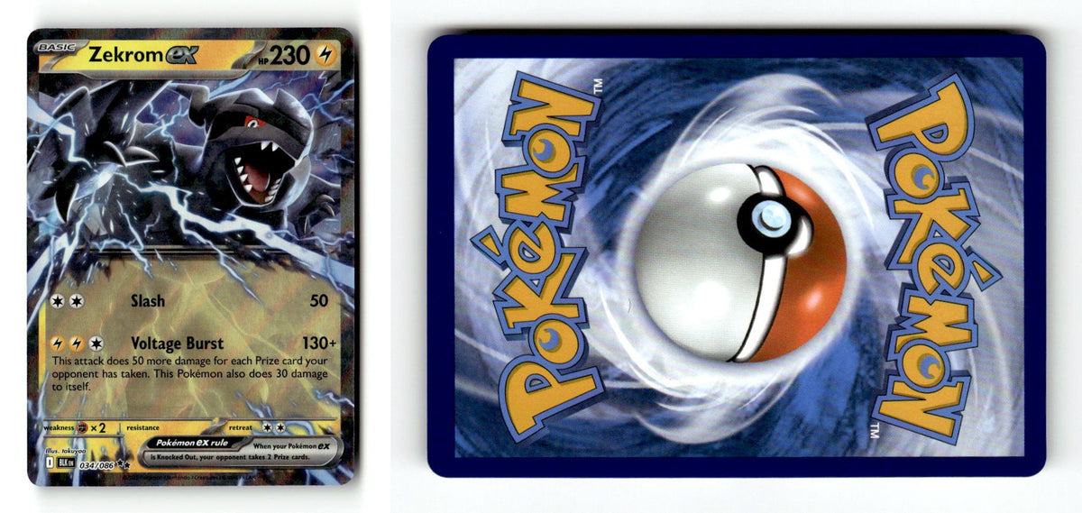 Front + Back scan