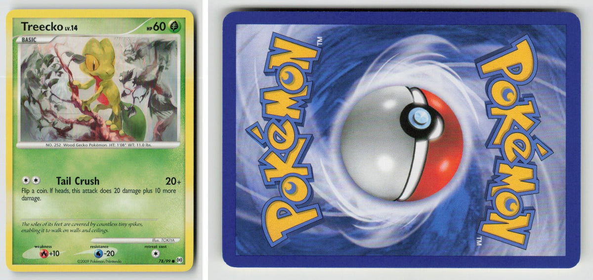 Front + Back scan