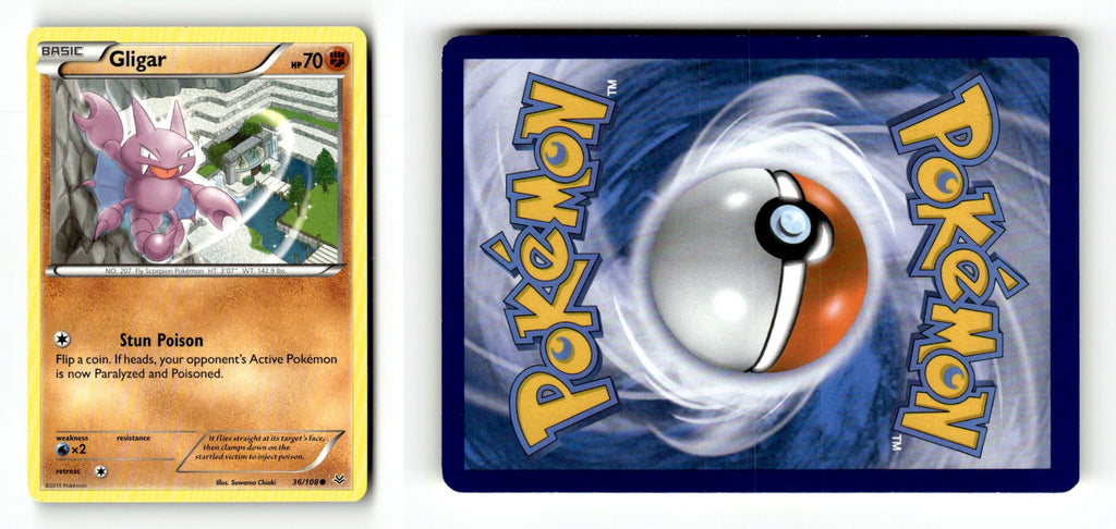 Front + Back scan
