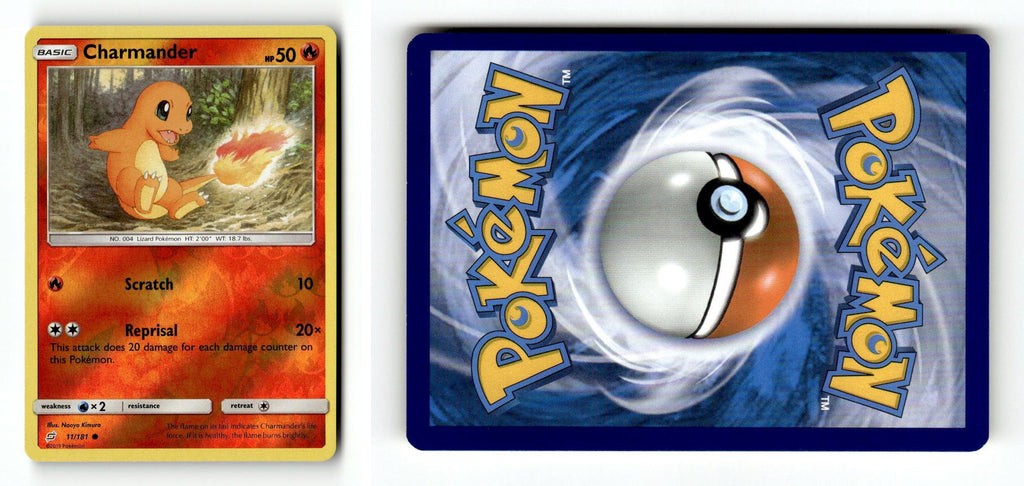 Front + Back scan