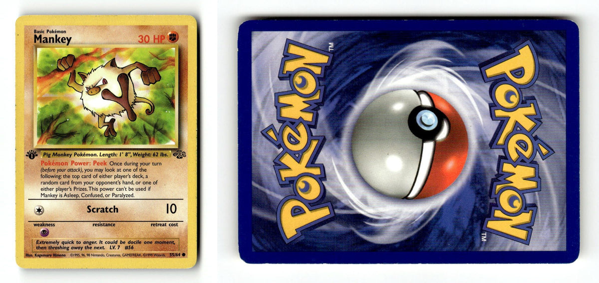 Front + Back scan