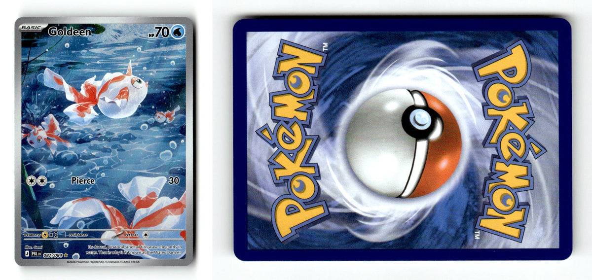 Front + Back scan