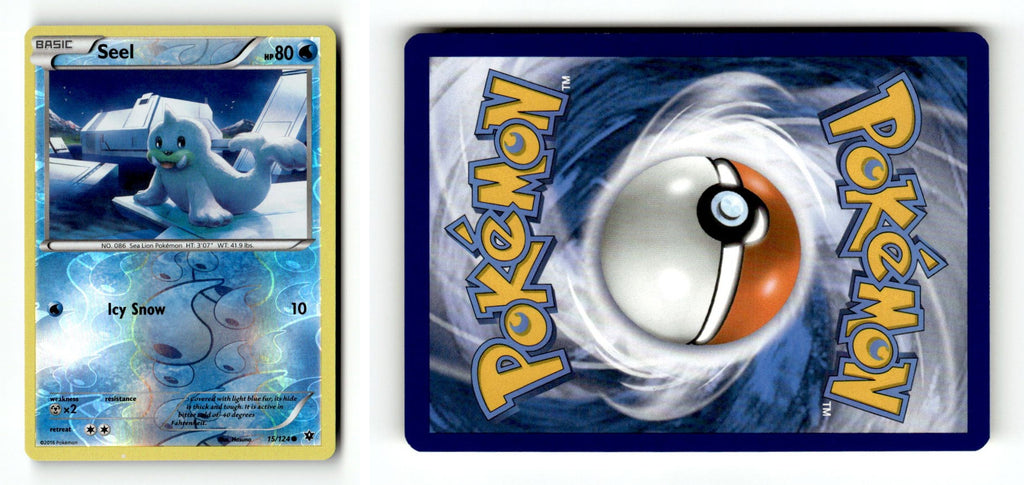 Front + Back scan