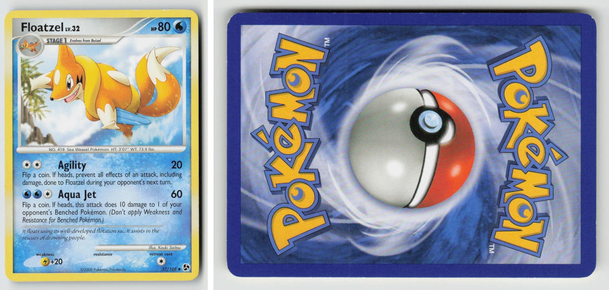 Front + Back scan