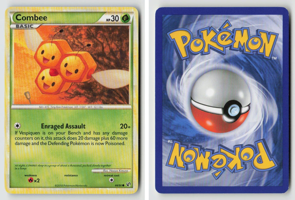 Front + Back scan