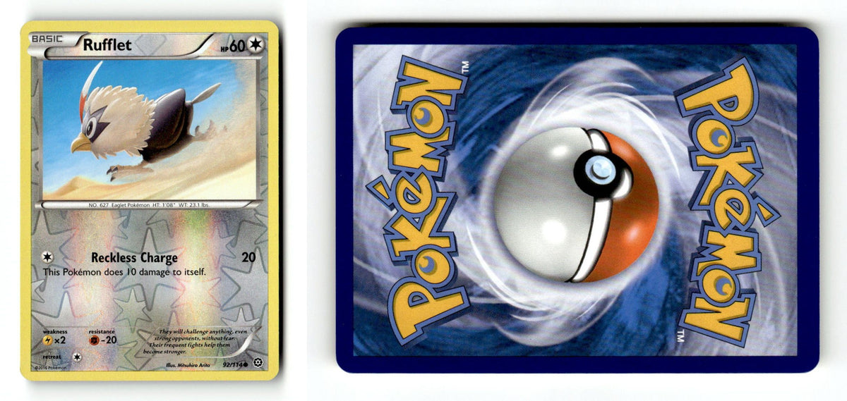 Front + Back scan