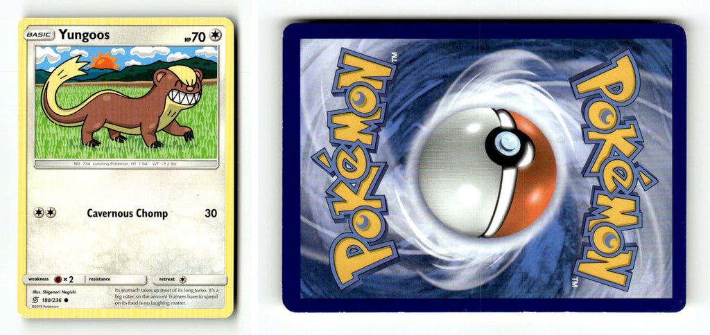 Front + Back scan