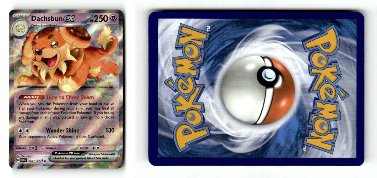 Front + Back scan