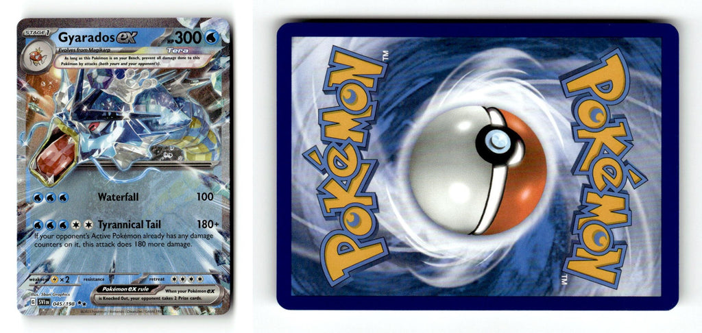 Front + Back scan