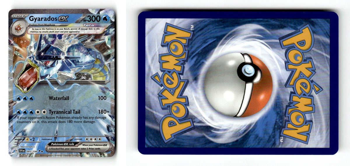 Front + Back scan