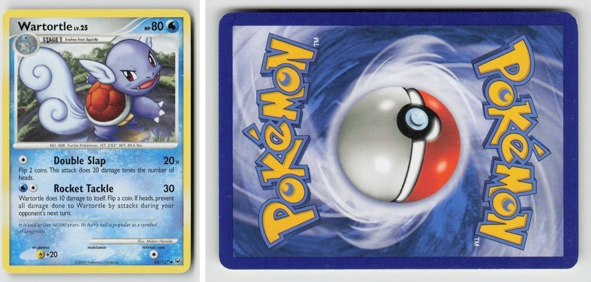 Front + Back scan