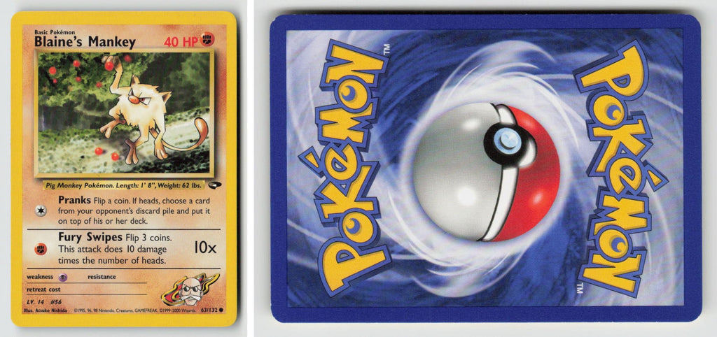 Front + Back scan