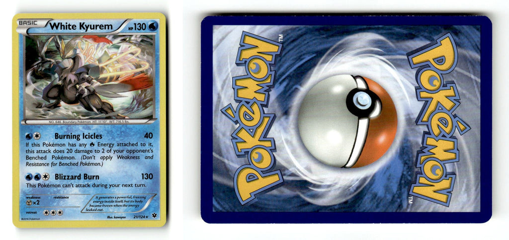 Front + Back scan