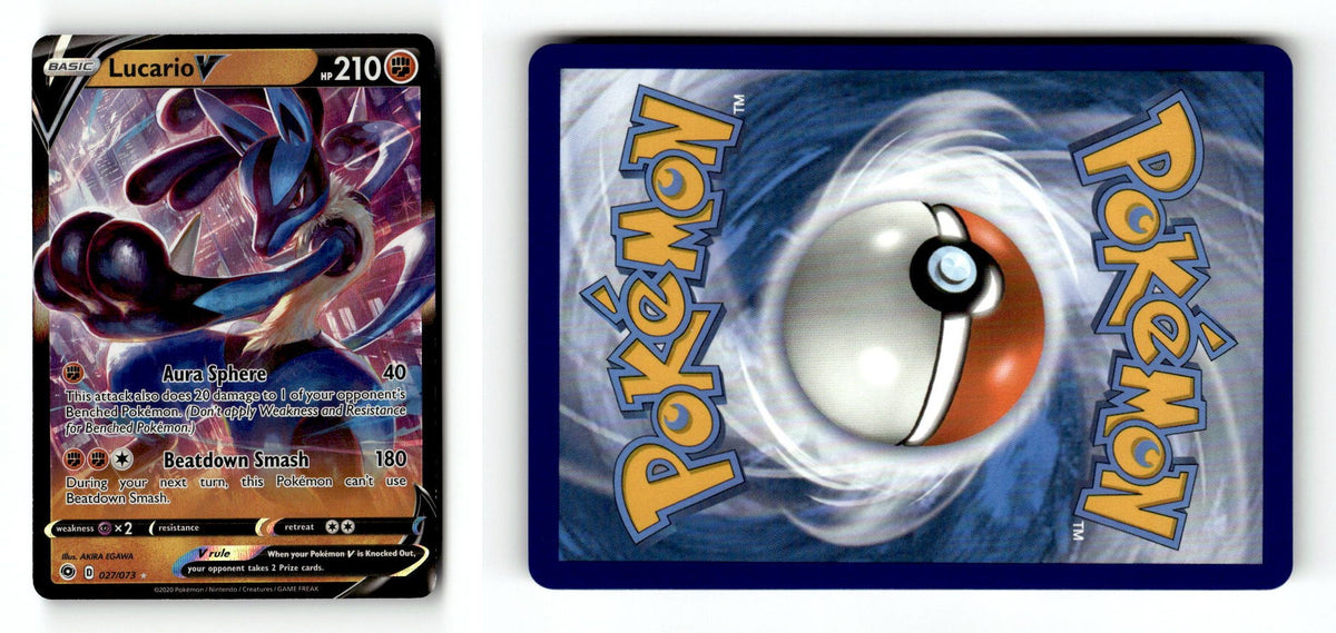 Front + Back scan